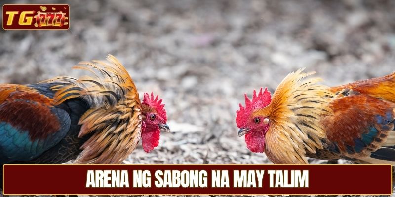 Arena ng sabong na may talim
