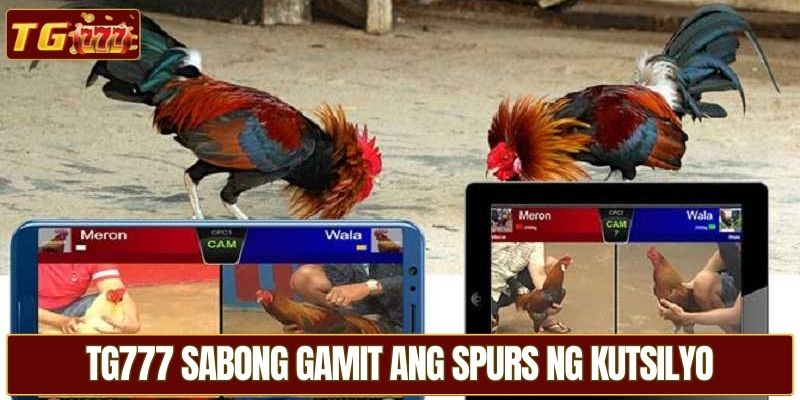 TG777 sabong gamit ang spurs ng kutsilyo